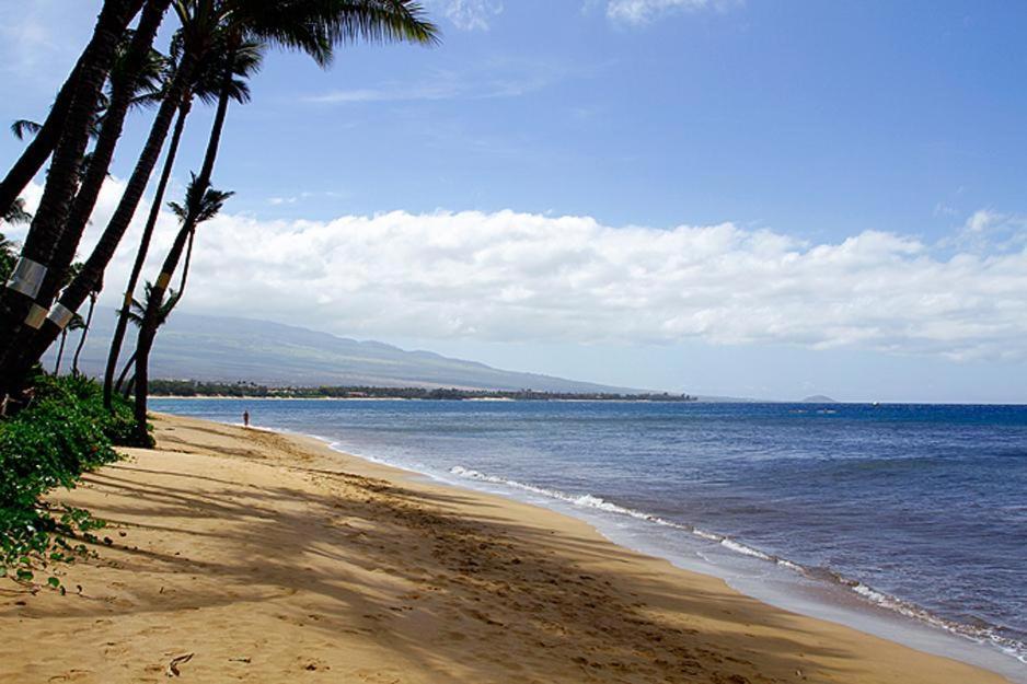 Kealia Resort 203 Kihei Dış mekan fotoğraf