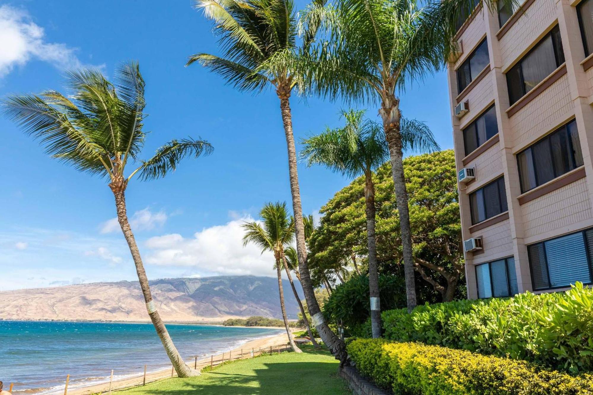 Kealia Resort 203 Kihei Dış mekan fotoğraf