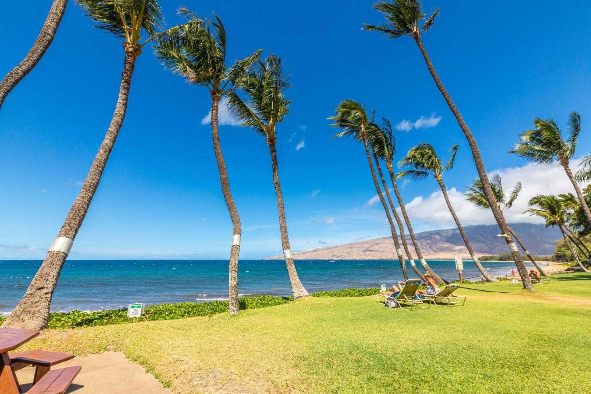 Kealia Resort 203 Kihei Dış mekan fotoğraf