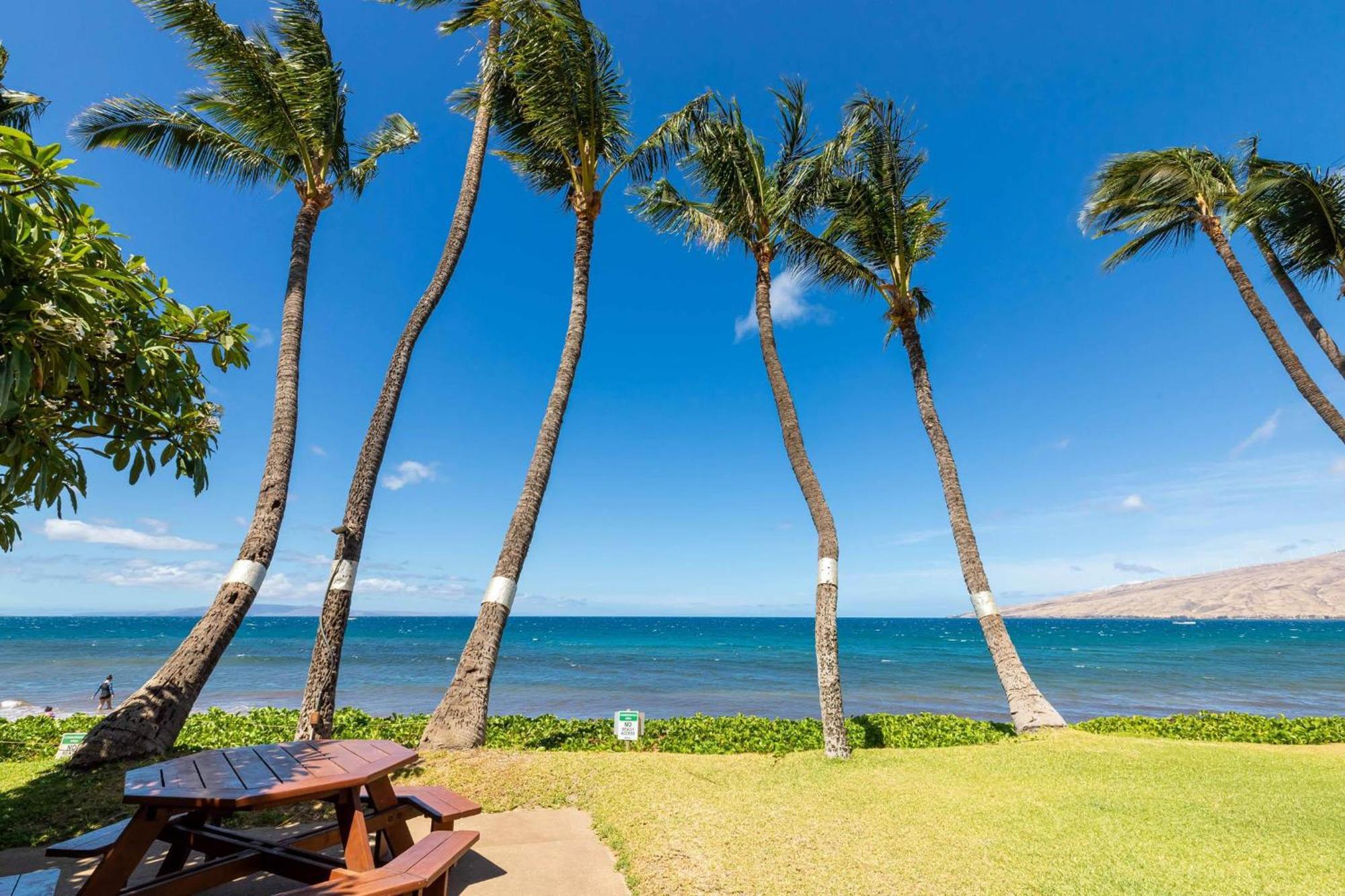 Kealia Resort 203 Kihei Dış mekan fotoğraf